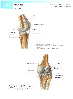 Sobotta  Atlas of Human Anatomy  Trunk, Viscera,Lower Limb Volume2 2006, page 295